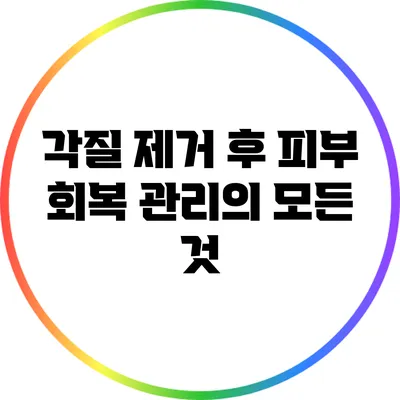 각질 제거 후 피부 회복 관리의 모든 것
