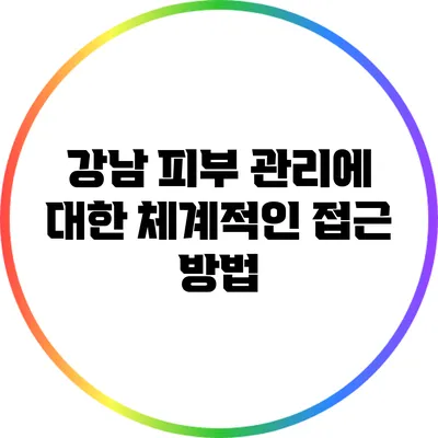 강남 피부 관리에 대한 체계적인 접근 방법