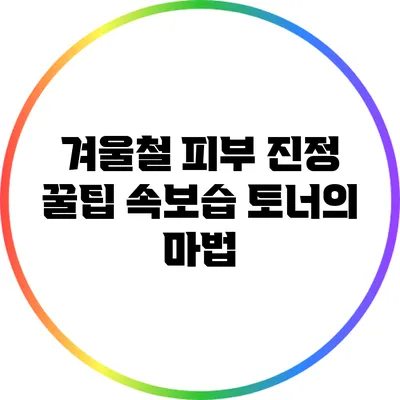 겨울철 피부 진정 꿀팁: 속보습 토너의 마법