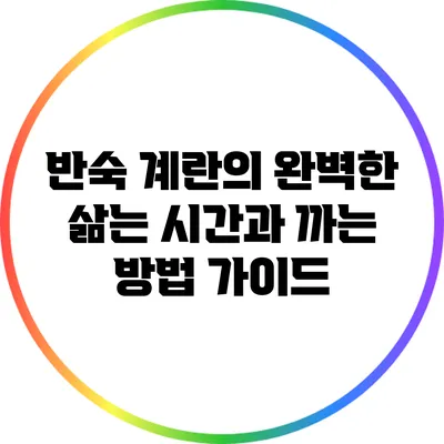 반숙 계란의 완벽한 삶는 시간과 까는 방법 가이드