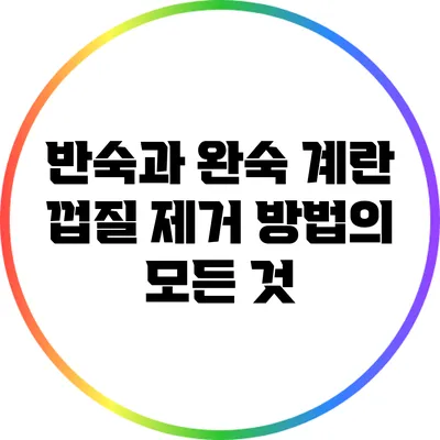 반숙과 완숙: 계란 껍질 제거 방법의 모든 것