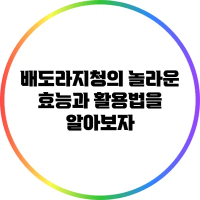 배도라지청의 놀라운 효능과 활용법을 알아보자