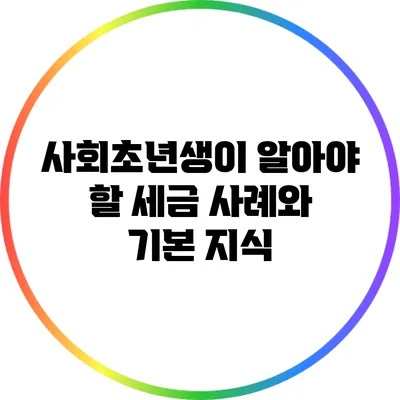 사회초년생이 알아야 할 세금 사례와 기본 지식