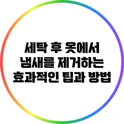 세탁 후 옷에서 냄새를 제거하는 효과적인 팁과 방법
