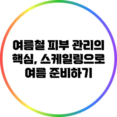 여름철 피부 관리의 핵심, 스케일링으로 여름 준비하기