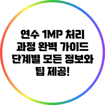 연수 1MP 처리 과정 완벽 가이드: 단계별 모든 정보와 팁 제공!