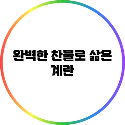 완벽한 찬물로 삶은 계란