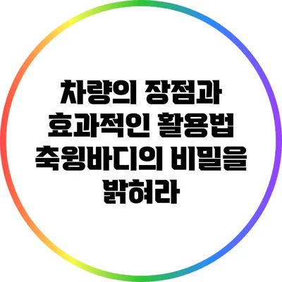 차량의 장점과 효과적인 활용법: 축윙바디의 비밀을 밝혀라