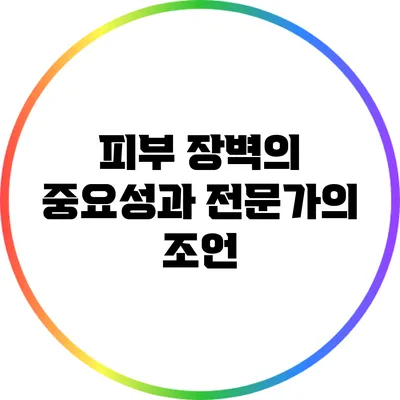피부 장벽의 중요성과 전문가의 조언