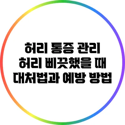 허리 통증 관리: 허리 삐끗했을 때 대처법과 예방 방법
