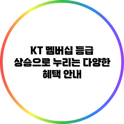 KT 멤버십 등급 상승으로 누리는 다양한 혜택 안내