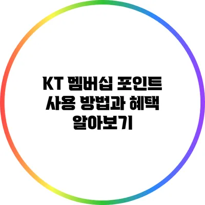 KT 멤버십 포인트 사용 방법과 혜택 알아보기