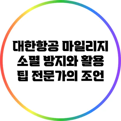 대한항공 마일리지 소멸 방지와 활용 팁: 전문가의 조언