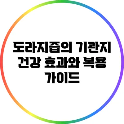 도라지즙의 기관지 건강 효과와 복용 가이드