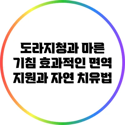 도라지청과 마른 기침: 효과적인 면역 지원과 자연 치유법