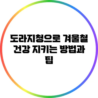 도라지청으로 겨울철 건강 지키는 방법과 팁