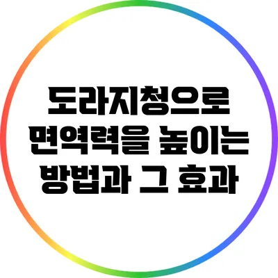 도라지청으로 면역력을 높이는 방법과 그 효과