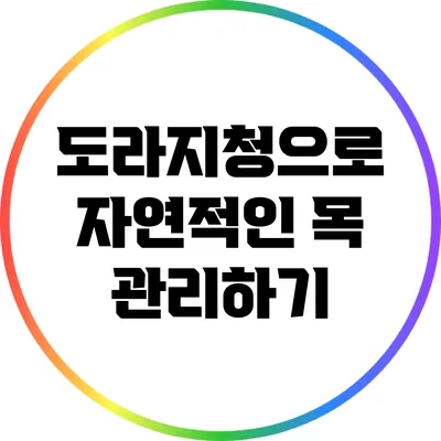 도라지청으로 자연적인 목 관리하기