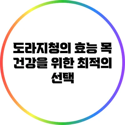 도라지청의 효능: 목 건강을 위한 최적의 선택