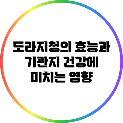 도라지청의 효능과 기관지 건강에 미치는 영향