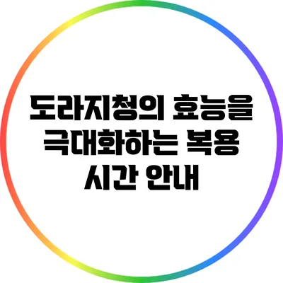 도라지청의 효능을 극대화하는 복용 시간 안내