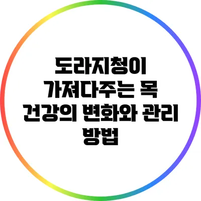 도라지청이 가져다주는 목 건강의 변화와 관리 방법