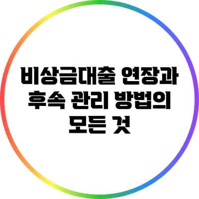 비상금대출 연장과 후속 관리 방법의 모든 것