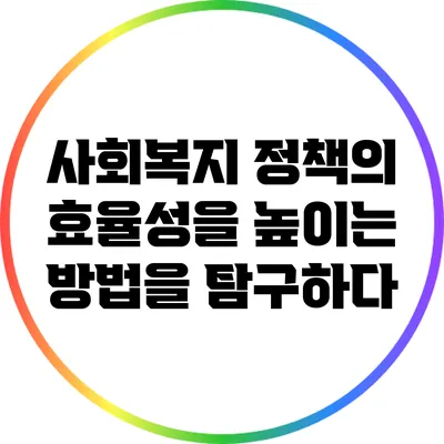 사회복지 정책의 효율성을 높이는 방법을 탐구하다