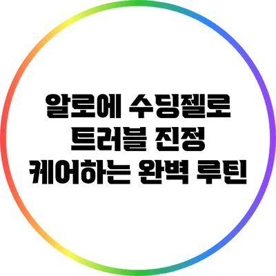 알로에 수딩젤로 트러블 진정 케어하는 완벽 루틴