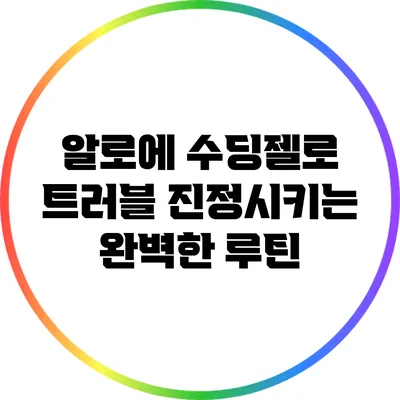 알로에 수딩젤로 트러블 진정시키는 완벽한 루틴