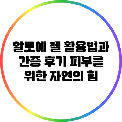 알로에 젤 활용법과 간증 후기: 피부를 위한 자연의 힘