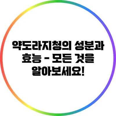 약도라지청의 성분과 효능 - 모든 것을 알아보세요!