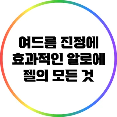 여드름 진정에 효과적인 알로에 젤의 모든 것