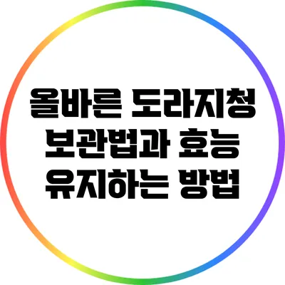 올바른 도라지청 보관법과 효능 유지하는 방법