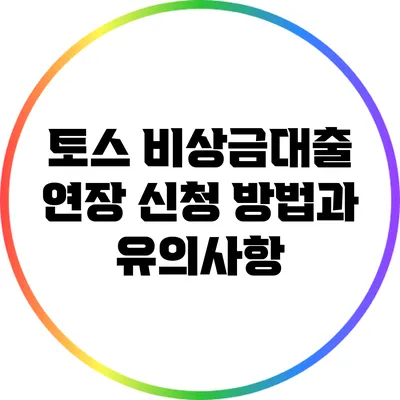 토스 비상금대출 연장 신청 방법과 유의사항