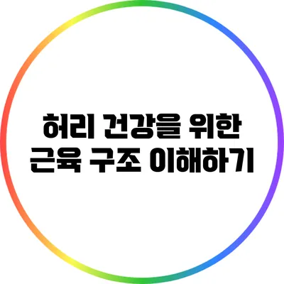 허리 건강을 위한 근육 구조 이해하기