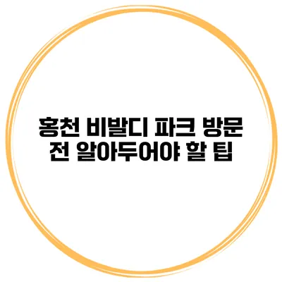 홍천 비발디 파크 방문 전 알아두어야 할 팁